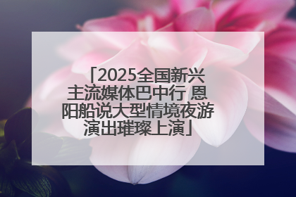 2025全国新兴主流媒体巴中行 恩阳船说大型情境夜游演出璀璨上演
