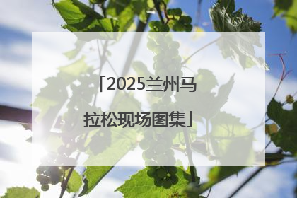 2025兰州马拉松现场图集
