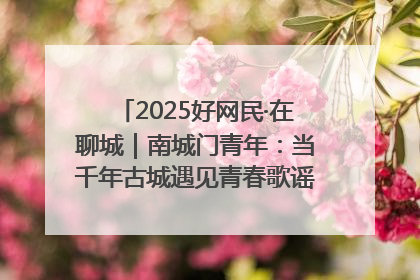 2025好网民·在聊城｜南城门青年：当千年古城遇见青春歌谣 一湖碧水见证的“聊城式浪漫”