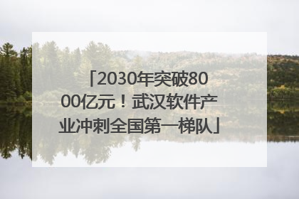 2030年突破8000亿元！武汉软件产业冲刺全国第一梯队