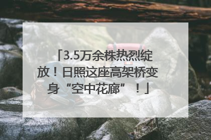 3.5万余株热烈绽放！日照这座高架桥变身“空中花廊”！