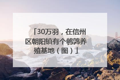 30万羽，在信州区朝阳镇有个鹌鹑养殖基地（图）