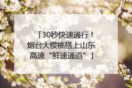 30秒快速通行！烟台大樱桃搭上山东高速“鲜速通道”