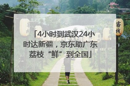 4小时到武汉24小时达新疆，京东助广东荔枝“鲜”到全国