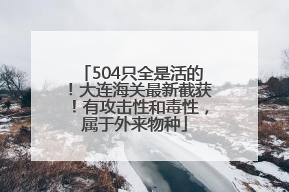 504只全是活的！大连海关最新截获！有攻击性和毒性，属于外来物种