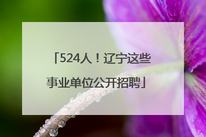 524人！辽宁这些事业单位公开招聘