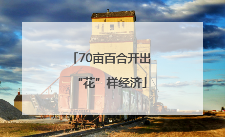70亩百合开出“花”样经济