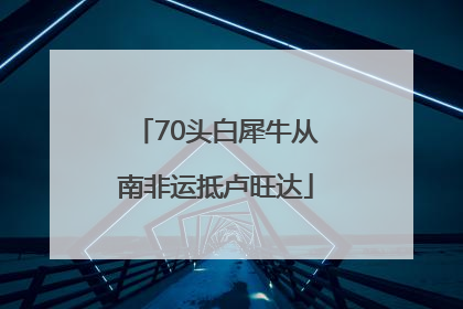 70头白犀牛从南非运抵卢旺达