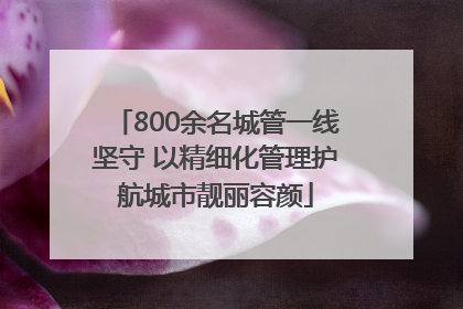 800余名城管一线坚守 以精细化管理护航城市靓丽容颜