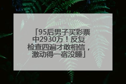 95后男子买彩票中2930万！反复检查四遍才敢相信，激动得一宿没睡