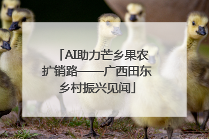 AI助力芒乡果农扩销路——广西田东乡村振兴见闻