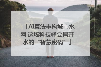 AI算法重构城市水网 这场科技峰会揭开水的“智慧密码”
