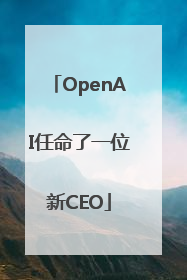 OpenAI任命了一位新CEO