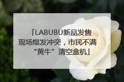 LABUBU新品发售现场爆发冲突，市民不满“黄牛”清空盒机