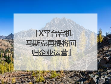 X平台宕机 马斯克再提将回归企业运营